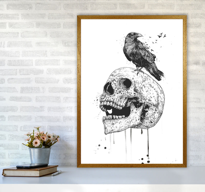 Skull & Raven B&W Animal Art Print by Balaz Solti A1 Print Only