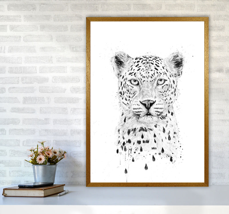 Raining Again Cheetah Animal Art Print by Balaz Solti A1 Print Only