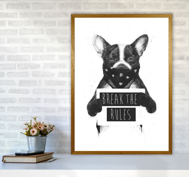 Rebel Bulldog Animal Art Print by Balaz Solti A1 Print Only