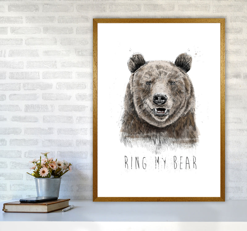 Ring My Bear Animal Art Print by Balaz Solti A1 Print Only