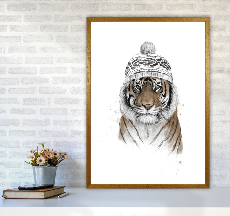 Siberian Tiger Animal Art Print by Balaz Solti A1 Print Only