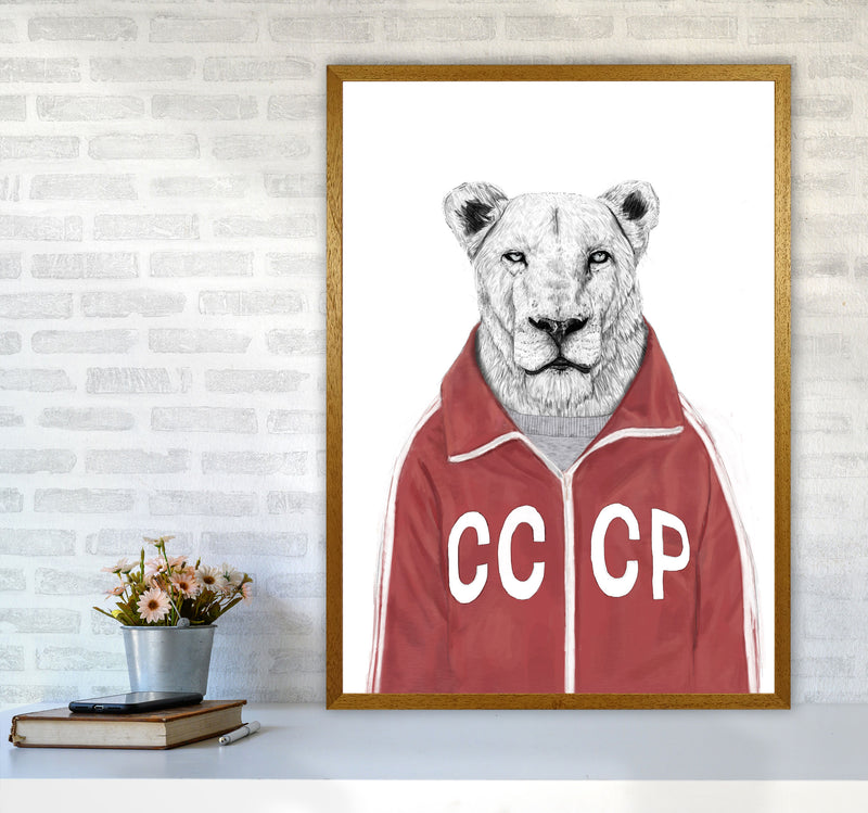 Soviet Lion Animal Art Print by Balaz Solti A1 Print Only