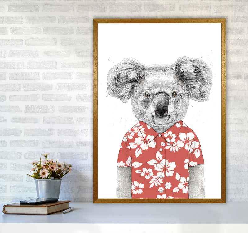 Summer Koala Red Animal Art Print by Balaz Solti A1 Print Only