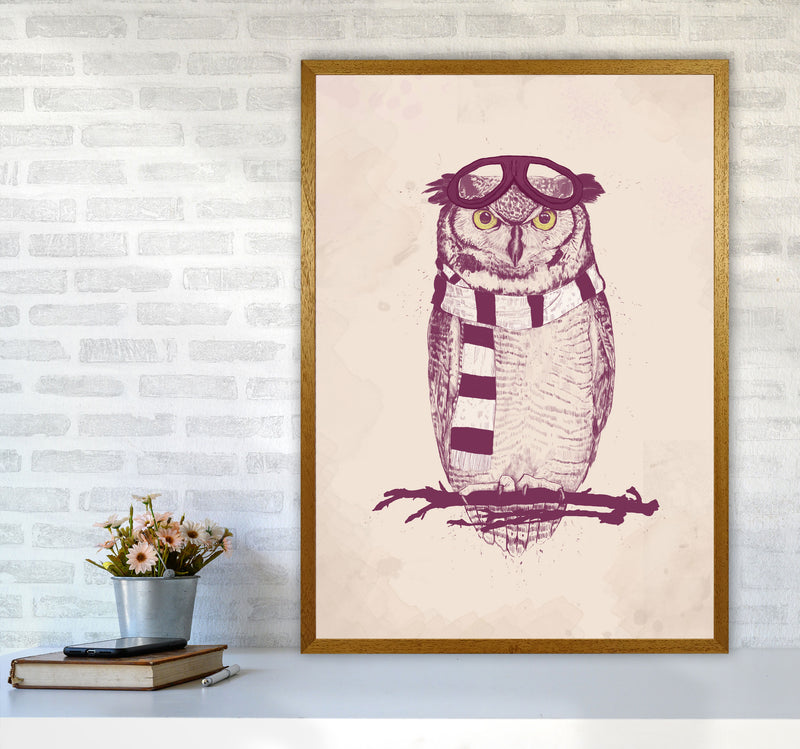 The Aviator Owl Animal Art Print by Balaz Solti A1 Print Only