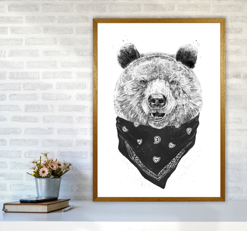 Wild Bear Animal Art Print by Balaz Solti A1 Print Only