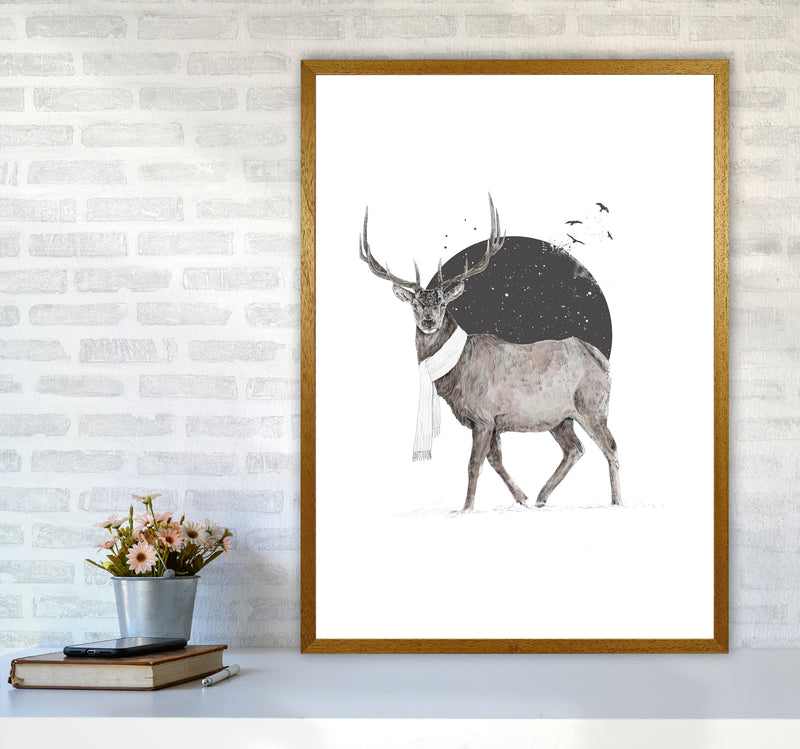 Winter Is All Around Stag Colour Animal Art Print by Balaz Solti A1 Print Only