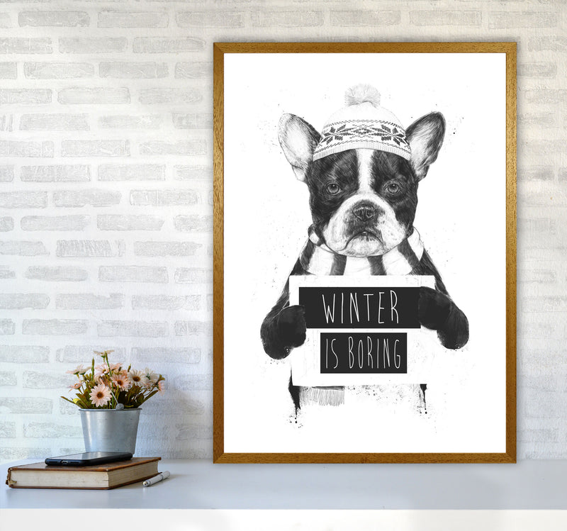 Winter Is Boring Animal Art Print by Balaz Solti A1 Print Only