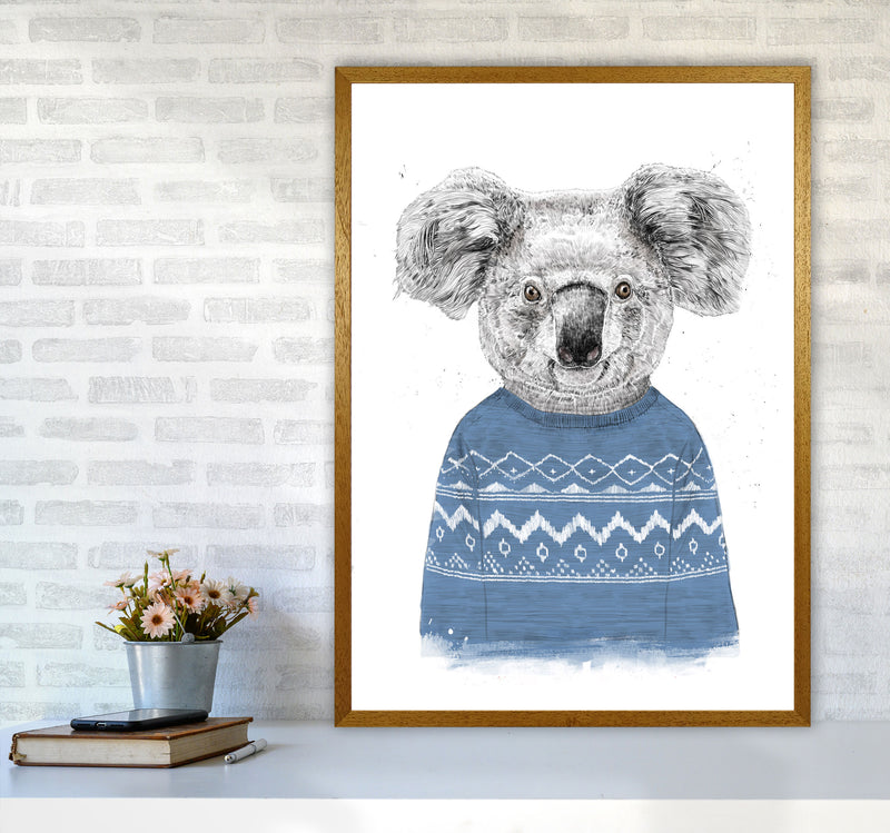 Winter Koala Blue Animal Art Print by Balaz Solti A1 Print Only