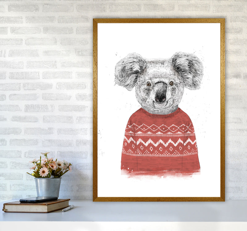 Winter Koala Red Animal Art Print by Balaz Solti A1 Print Only