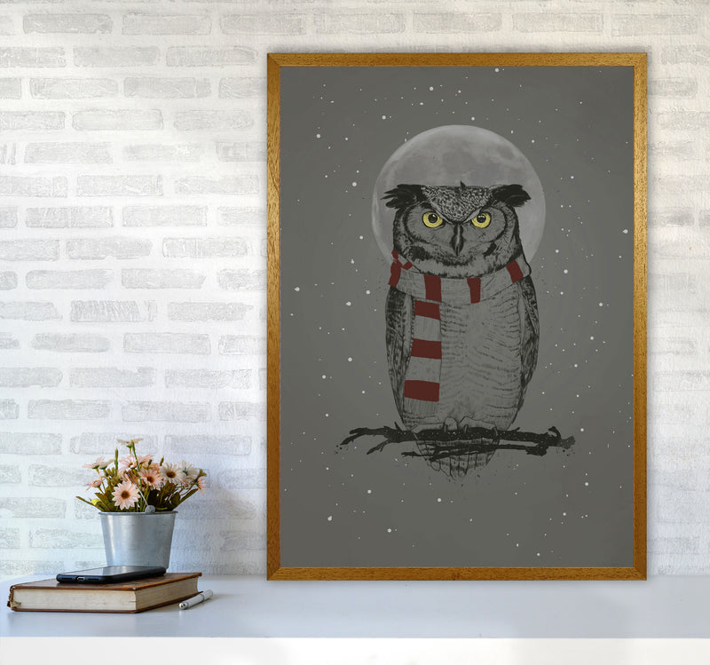 Winter Owl Animal Art Print by Balaz Solti A1 Print Only
