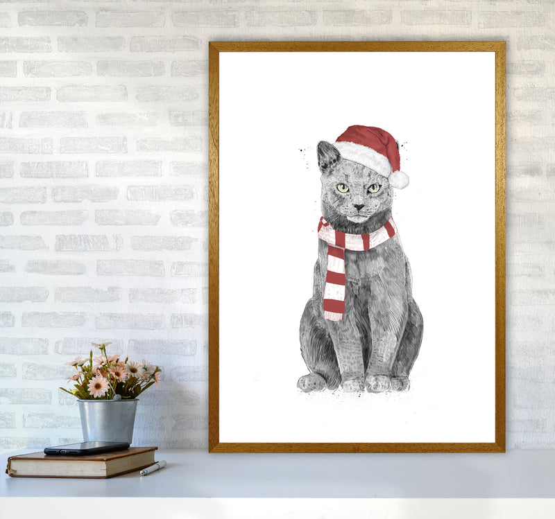 Christmas Cat Animal Art Print by Balaz Solti A1 Print Only