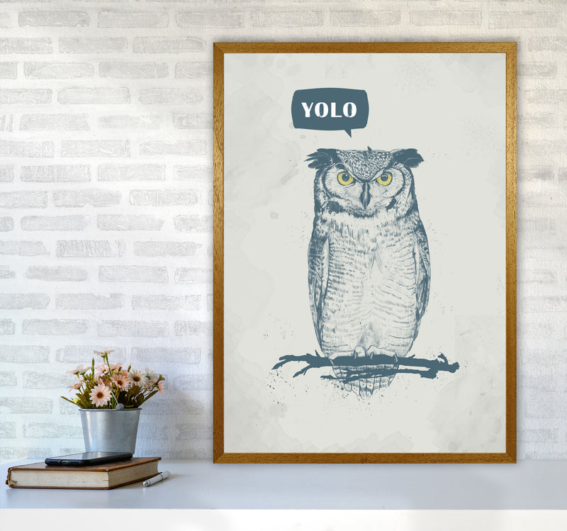 Yolo Owl Animal Art Print by Balaz Solti A1 Print Only