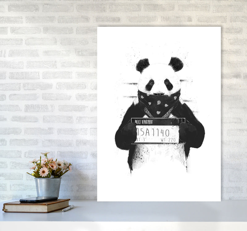 Bad Panda Animal Art Print by Balaz Solti A1 Black Frame
