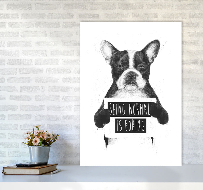 Being Normal Is Boring Animal Art Print by Balaz Solti A1 Black Frame
