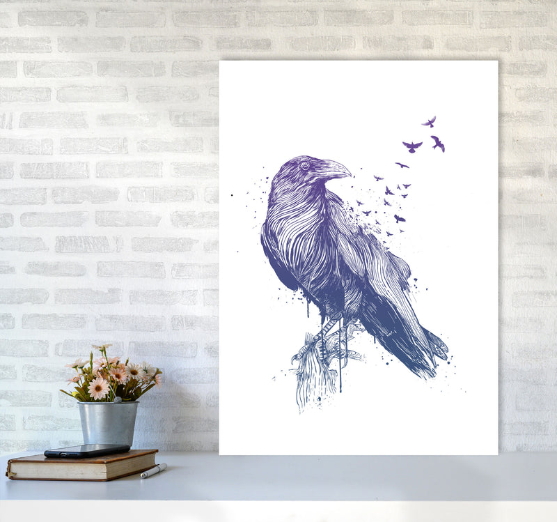 Born To Be Free Raven Animal Art Print by Balaz Solti A1 Black Frame