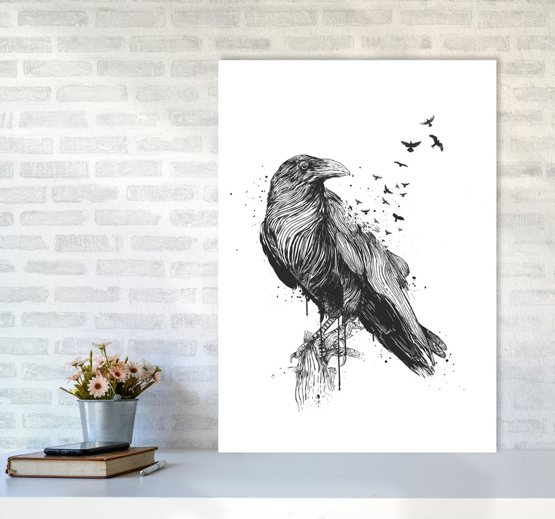 Born To Be Free Raven B&W Animal Art Print by Balaz Solti A1 Black Frame