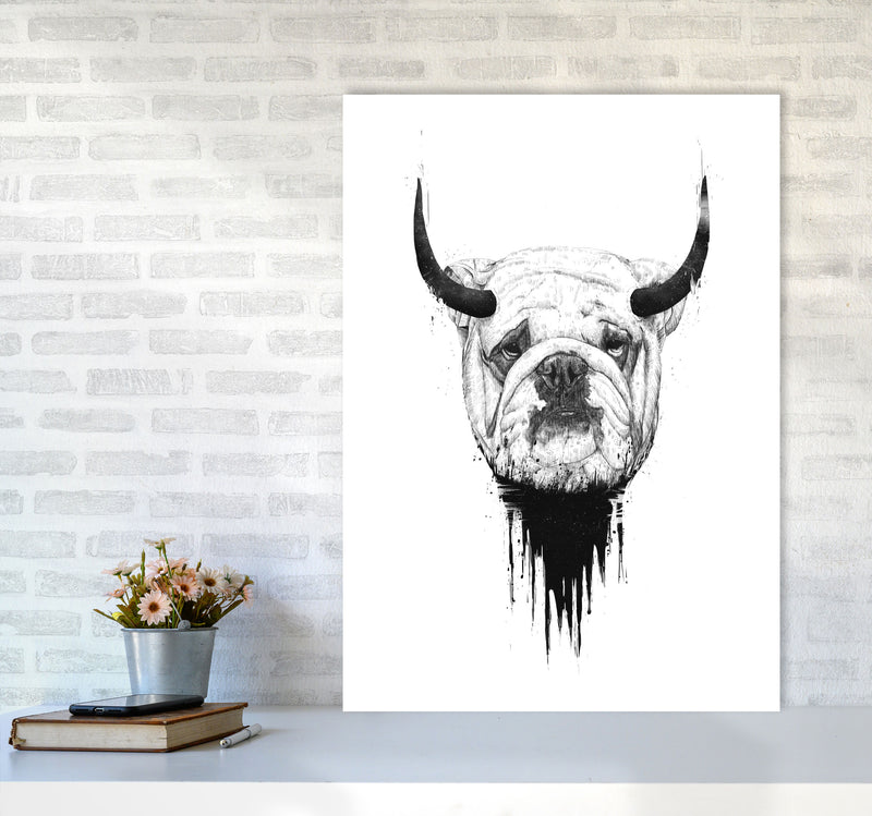 Bulldog Horns Animal Art Print by Balaz Solti A1 Black Frame