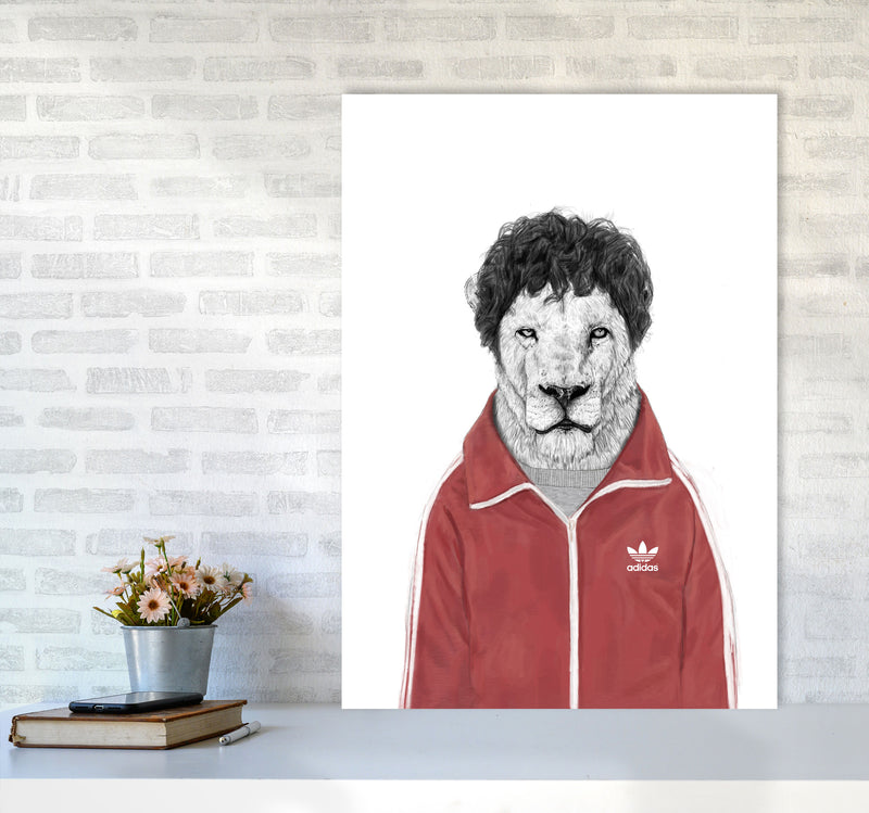 Chas Lion Animal Art Print by Balaz Solti A1 Black Frame
