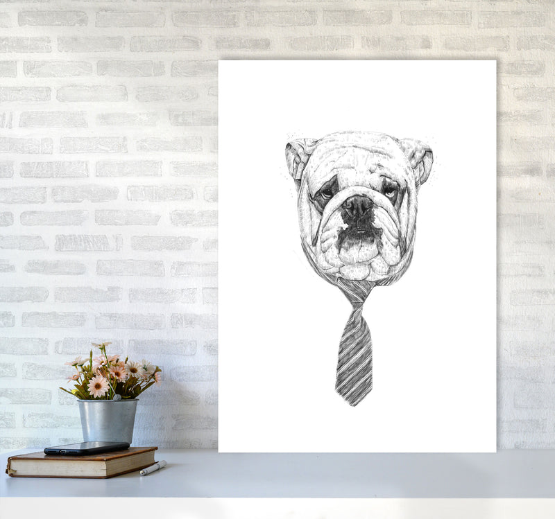 Cool Bulldog Animal Art Print by Balaz Solti A1 Black Frame
