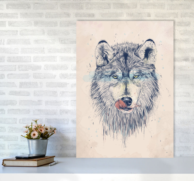 Dinner Time Wolf Animal Art Print by Balaz Solti A1 Black Frame