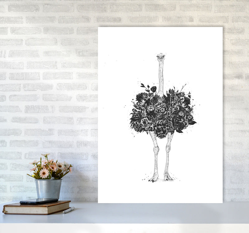 Floral Ostrich Animal Art Print by Balaz Solti A1 Black Frame