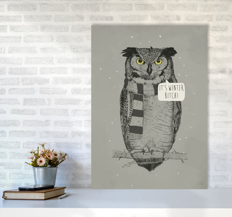 It's Winter B*tch Animal Art Print by Balaz Solti A1 Black Frame