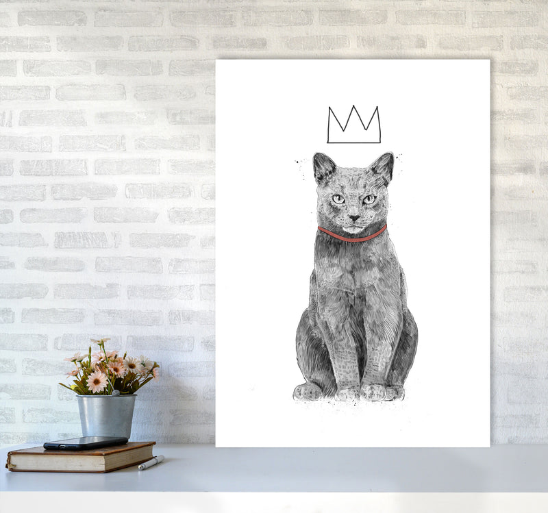 King Of Everything Animal Art Print by Balaz Solti A1 Black Frame