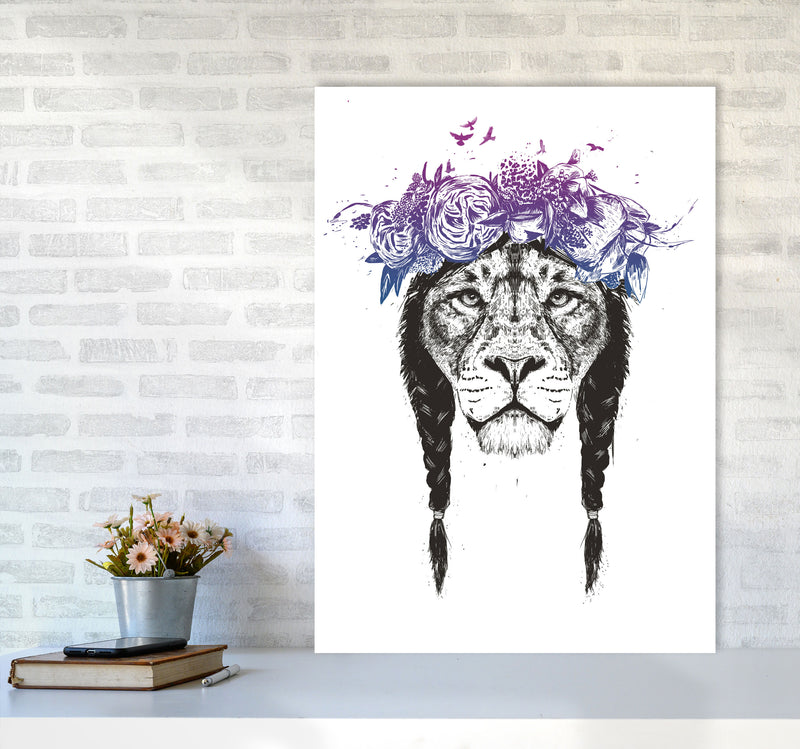 King Of Lions Animal Art Print by Balaz Solti A1 Black Frame