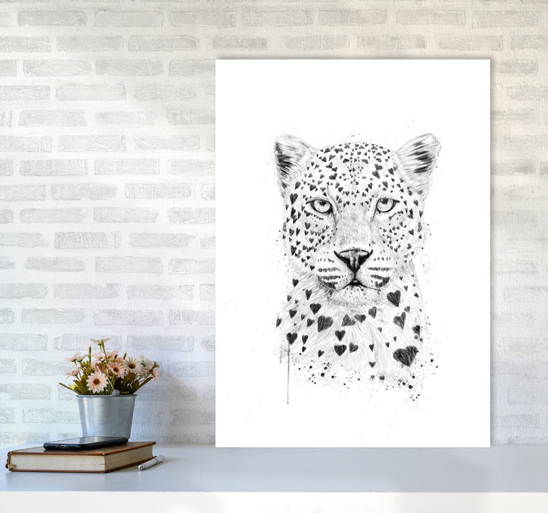 Lovely Leopard Animal Art Print by Balaz Solti A1 Black Frame