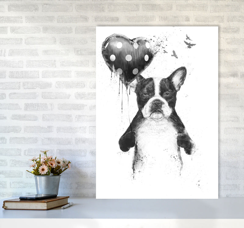 My Heart Goes Boom Bulldog Animal Art Print by Balaz Solti A1 Black Frame