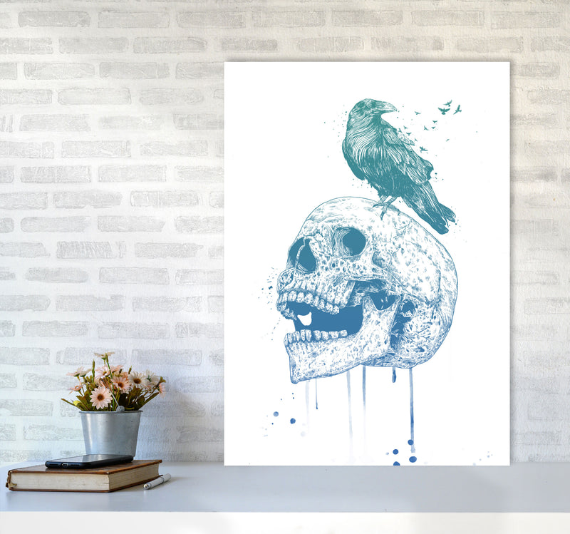 Skull & Raven Colour Animal Art Print by Balaz Solti A1 Black Frame