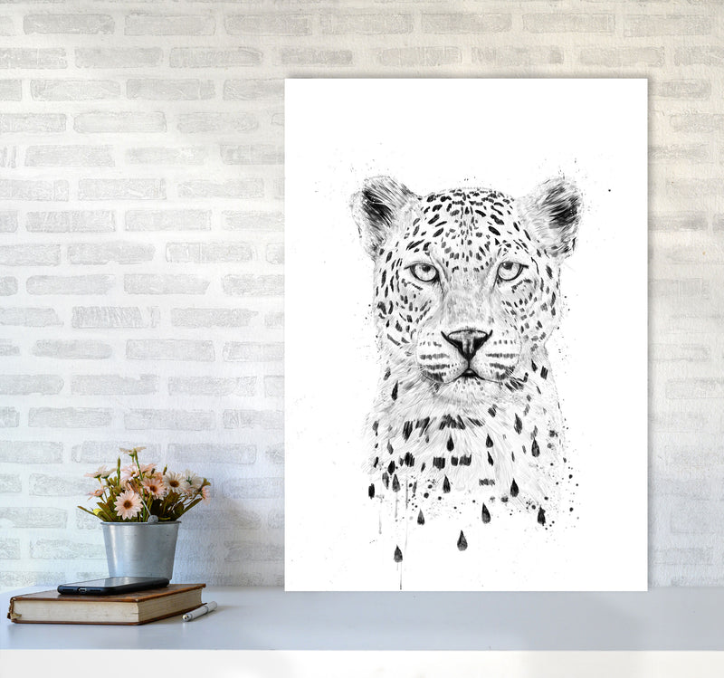 Raining Again Cheetah Animal Art Print by Balaz Solti A1 Black Frame