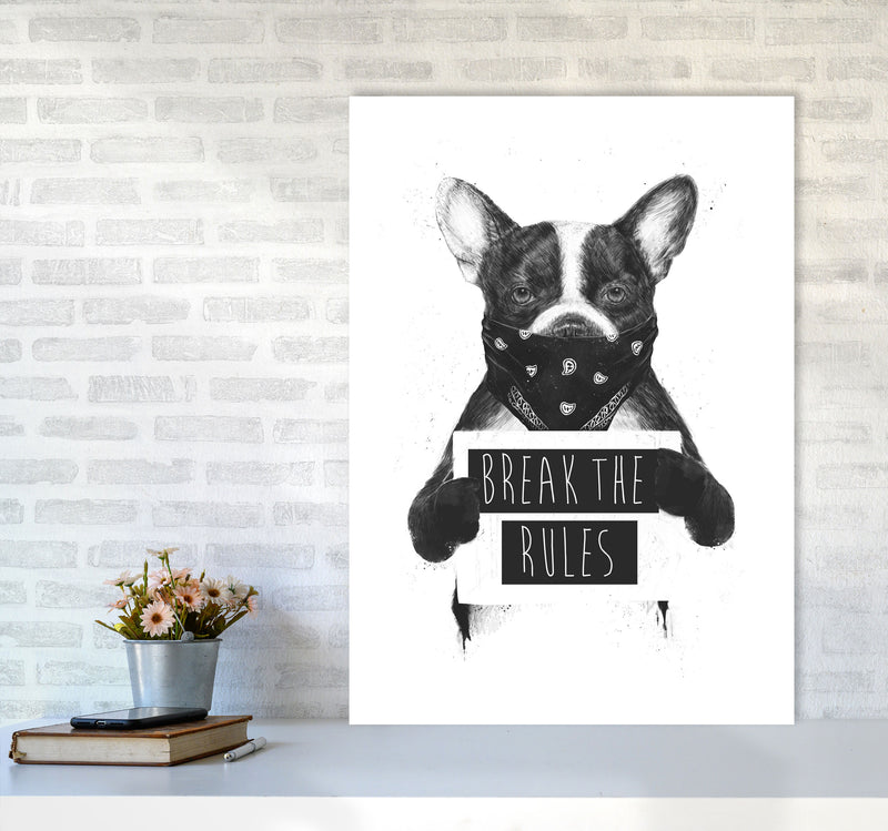 Rebel Bulldog Animal Art Print by Balaz Solti A1 Black Frame
