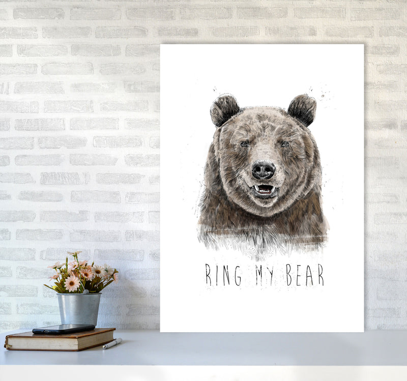 Ring My Bear Animal Art Print by Balaz Solti A1 Black Frame