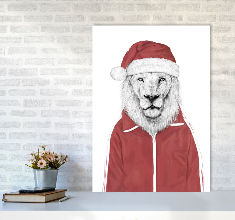 Santa Lion Animal Art Print by Balaz Solti A1 Black Frame