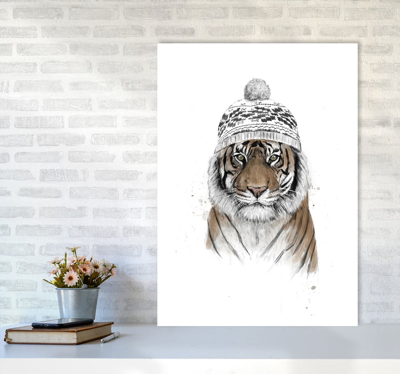 Siberian Tiger Animal Art Print by Balaz Solti A1 Black Frame