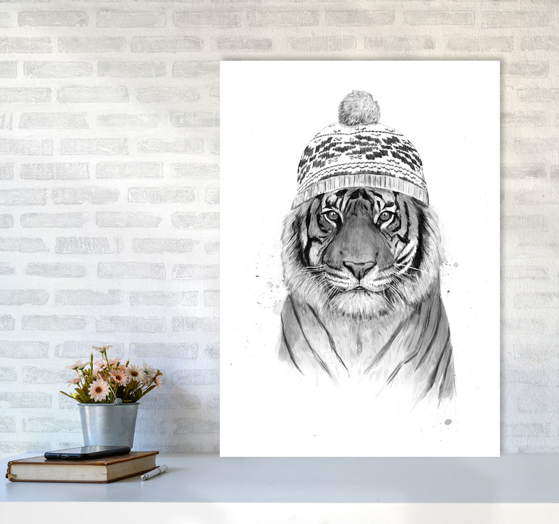 Siberian Tiger B&W Animal Art Print by Balaz Solti A1 Black Frame