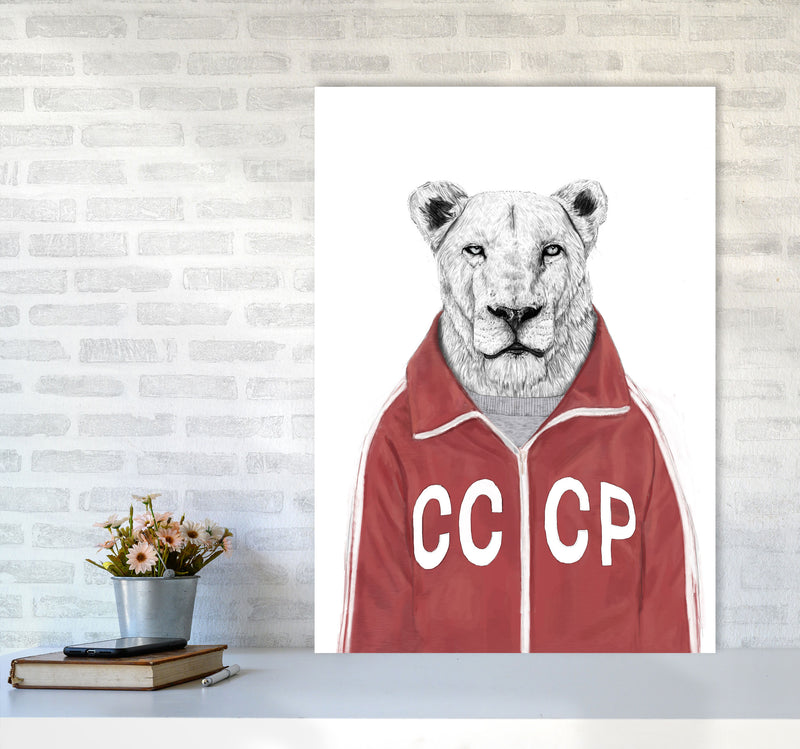Soviet Lion Animal Art Print by Balaz Solti A1 Black Frame