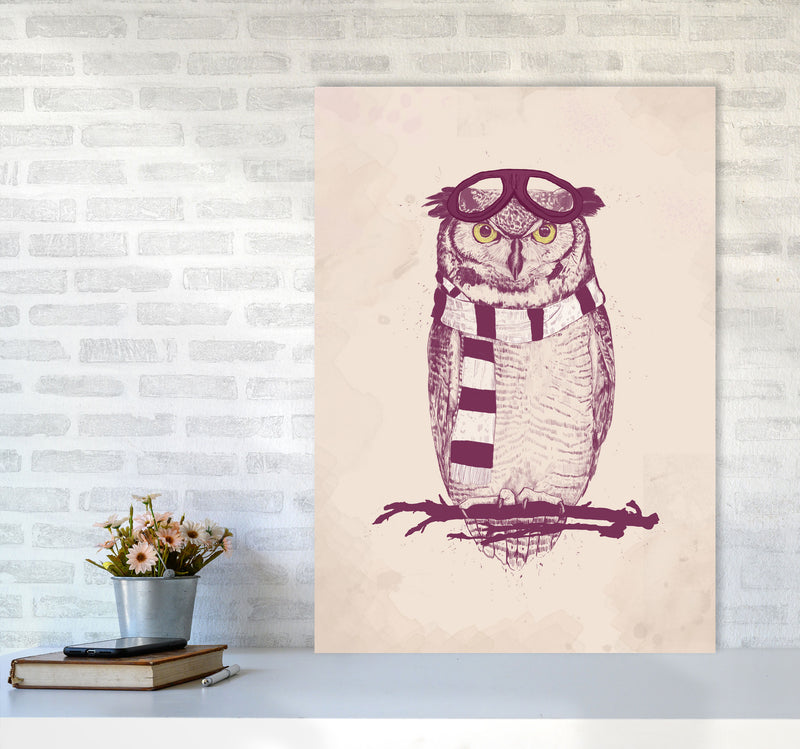 The Aviator Owl Animal Art Print by Balaz Solti A1 Black Frame