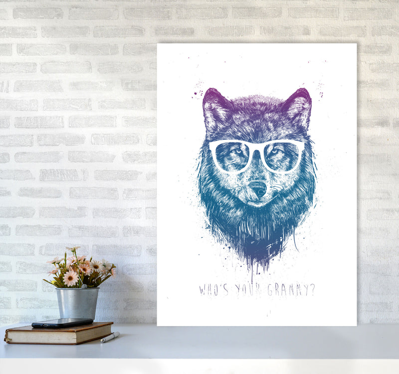 Who's Your Granny? Wolf Colour Animal Art Print by Balaz Solti A1 Black Frame