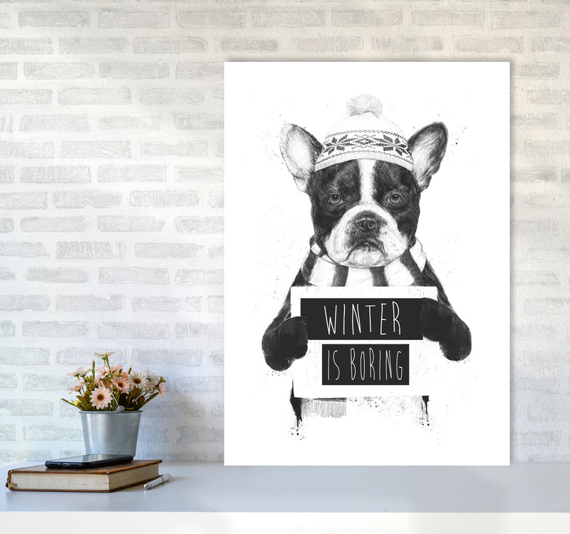 Winter Is Boring Animal Art Print by Balaz Solti A1 Black Frame