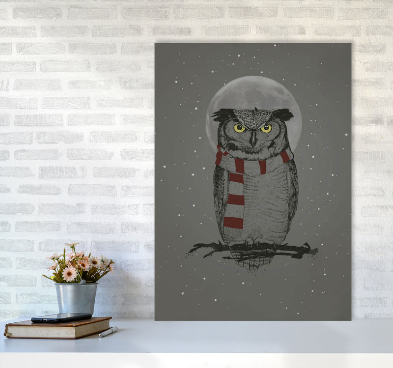 Winter Owl Animal Art Print by Balaz Solti A1 Black Frame