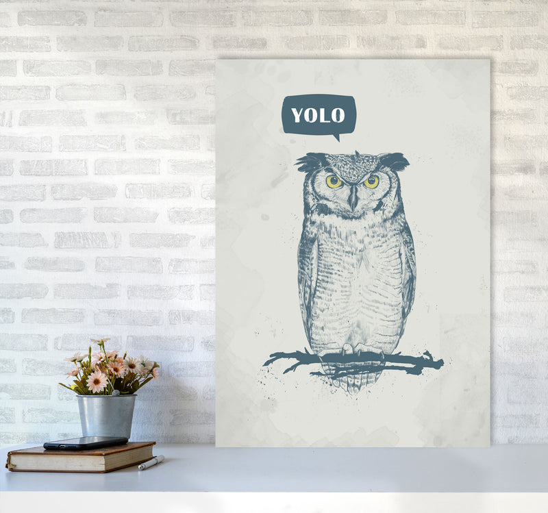 Yolo Owl Animal Art Print by Balaz Solti A1 Black Frame