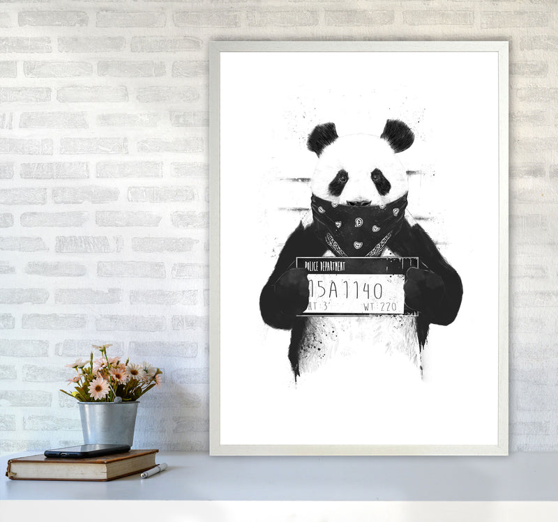Bad Panda Animal Art Print by Balaz Solti A1 Oak Frame