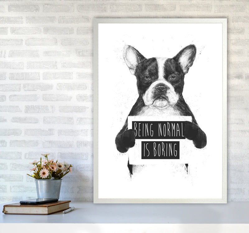 Being Normal Is Boring Animal Art Print by Balaz Solti A1 Oak Frame