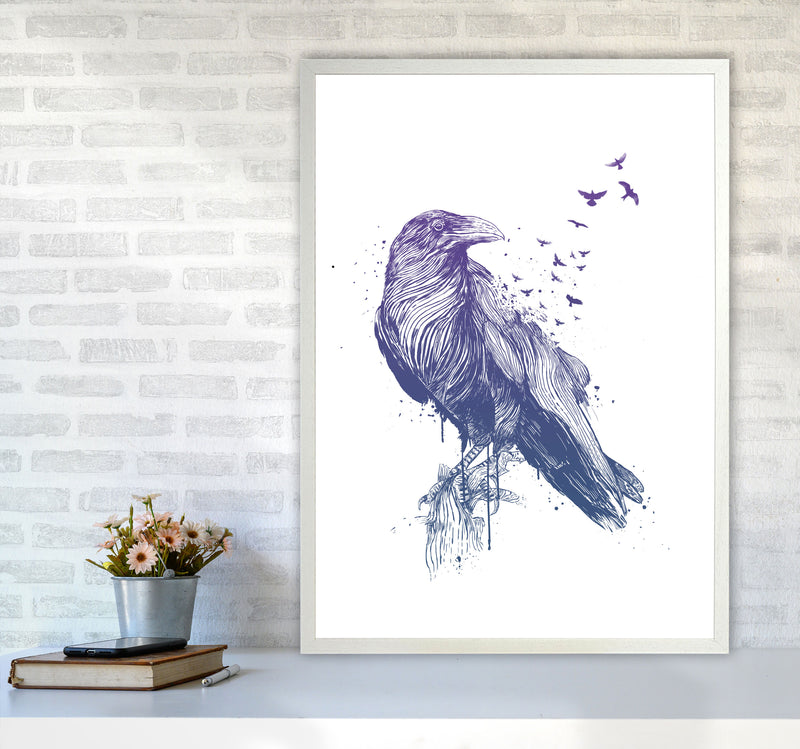 Born To Be Free Raven Animal Art Print by Balaz Solti A1 Oak Frame