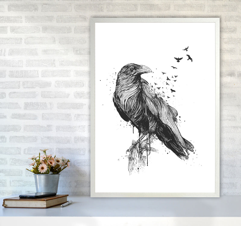 Born To Be Free Raven B&W Animal Art Print by Balaz Solti A1 Oak Frame