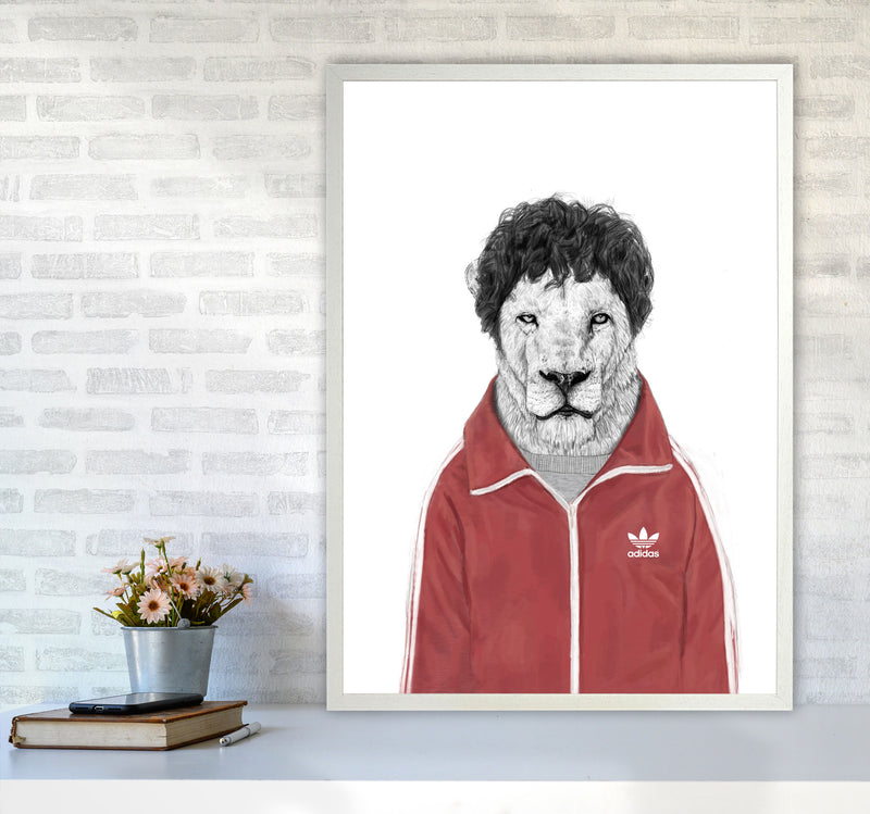 Chas Lion Animal Art Print by Balaz Solti A1 Oak Frame