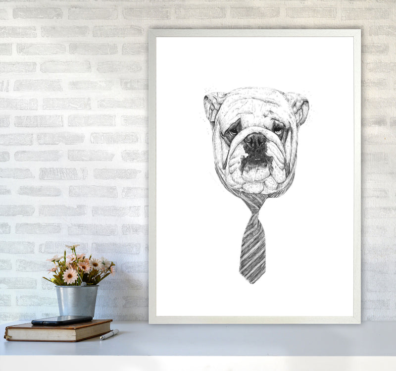 Cool Bulldog Animal Art Print by Balaz Solti A1 Oak Frame