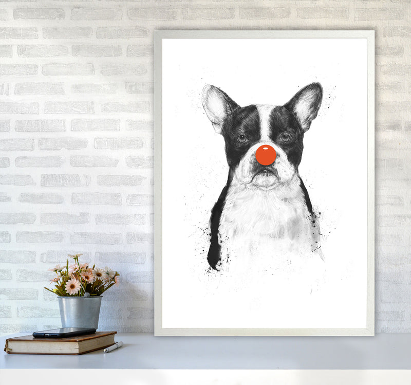 I'm Not Your Clown Bulldog Animal Art Print by Balaz Solti A1 Oak Frame